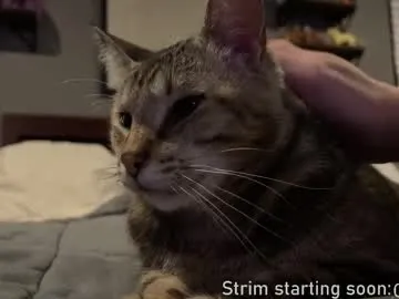 kelley_n_danny – webcam model profile photo Image 11