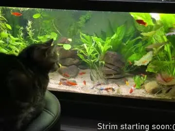 kelley_n_danny – webcam model profile photo Image 14