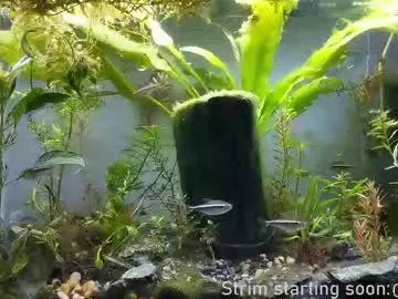 kelley_n_danny – webcam model profile photo Image 17