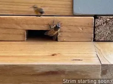 kelley_n_danny – webcam model profile photo Image 18