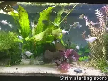 kelley_n_danny – webcam model profile photo Image 2