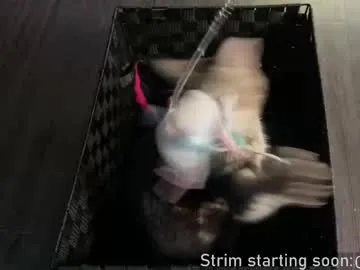 kelley_n_danny – webcam model profile photo Image 3