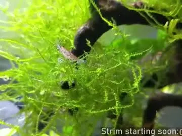 kelley_n_danny – webcam model profile photo Image 4