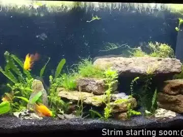 kelley_n_danny – webcam model profile photo Image 5