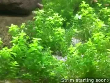 kelley_n_danny – webcam model profile photo Image 8