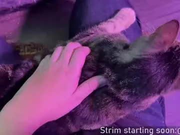 kelley_n_danny – webcam model profile photo Image 9