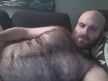 hairiestbear Image 2
