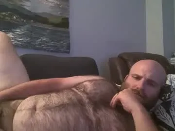 hairiestbear Image 3