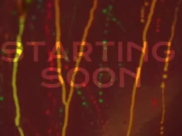 ava_delightt – webcam model profile photo Image 15