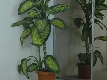 rosee20_ – webcam model profile photo Image 2