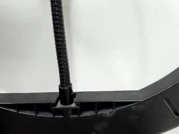 reilbelll – webcam model profile photo Image 14