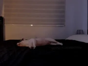 sareandrob – webcam model profile photo Image 14