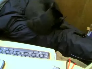 Denise_Taylor – webcam model profile photo Image 13