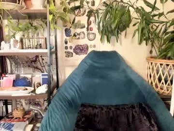 sashayscott – webcam model profile photo Image 15