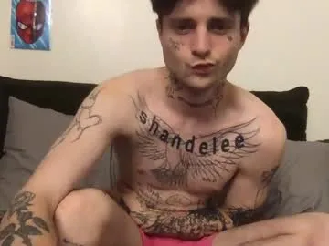 sareandrob – webcam model profile photo Image 11