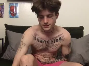 sareandrob – webcam model profile photo Image 17