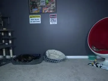 sigmasian – webcam model profile photo Image 2