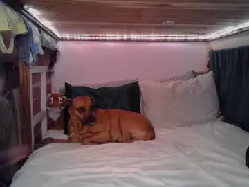 alena_hot_sex – webcam model profile photo Image 8