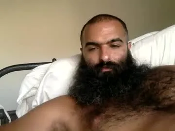 woof_wolf37 Image 16