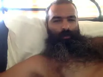 woof_wolf37 Image 5