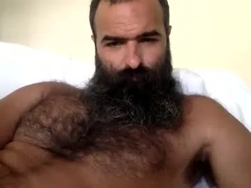woof_wolf37 Image 7